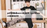 pdf转换成word去水印（pdf转word去掉水印）