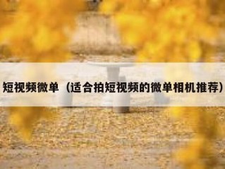 短视频微单（适合拍短视频的微单相机推荐）