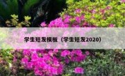 学生短发模板（学生短发2020）