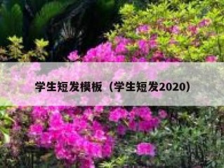 学生短发模板（学生短发2020）