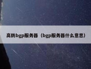 高防bgp服务器（bgp服务器什么意思）