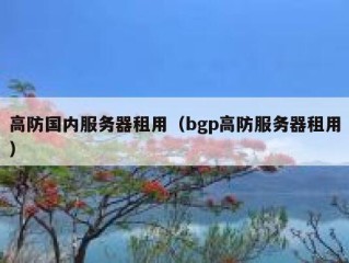 高防国内服务器租用（bgp高防服务器租用）