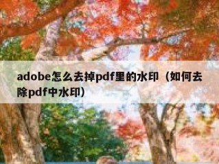 adobe怎么去掉pdf里的水印（如何去除pdf中水印）