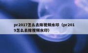 pr2017怎么去除视频水印（pr2019怎么去除视频水印）