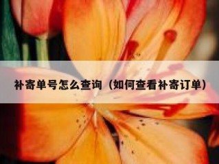 补寄单号怎么查询（如何查看补寄订单）