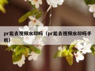 pr能去视频水印吗（pr能去视频水印吗手机）