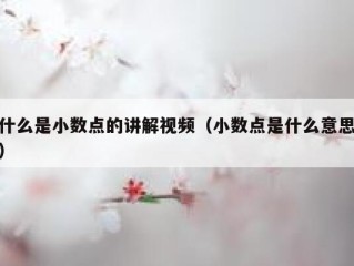 什么是小数点的讲解视频（小数点是什么意思）