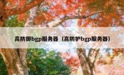 高防御bgp服务器（高防护bgp服务器）