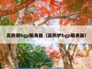 高防御bgp服务器（高防护bgp服务器）