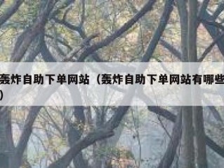 轰炸自助下单网站（轰炸自助下单网站有哪些）