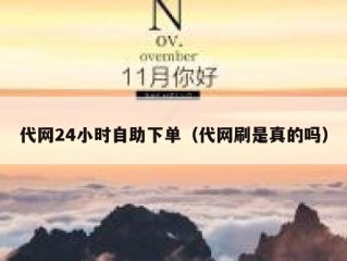 代网24小时自助下单（代网刷是真的吗）