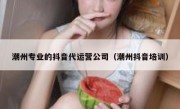 潮州专业的抖音代运营公司（潮州抖音培训）