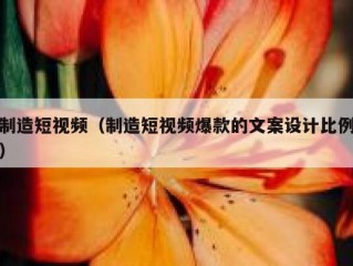 制造短视频（制造短视频爆款的文案设计比例）