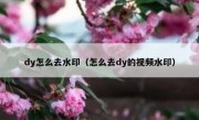 dy怎么去水印（怎么去dy的视频水印）