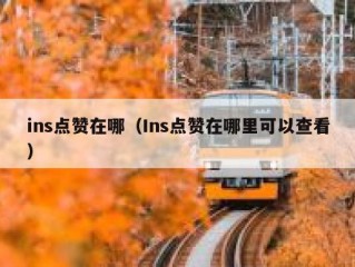 ins点赞在哪（Ins点赞在哪里可以查看）