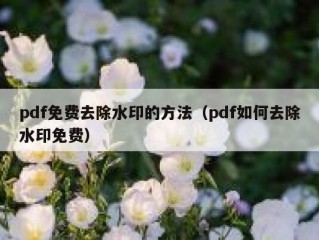 pdf免费去除水印的方法（pdf如何去除水印免费）