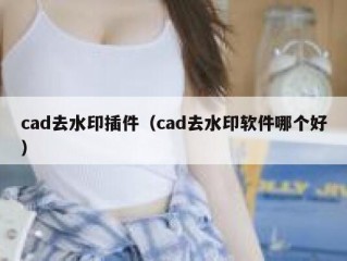 cad去水印插件（cad去水印软件哪个好）