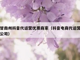 甘南州抖音代运营优质商家（抖音电商代运营公司）