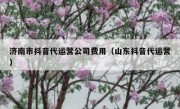 济南市抖音代运营公司费用（山东抖音代运营）