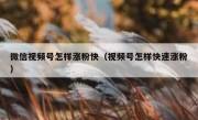 微信视频号怎样涨粉快（视频号怎样快速涨粉）