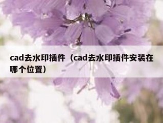 cad去水印插件（cad去水印插件安装在哪个位置）