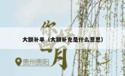 大额补单（大额补充是什么意思）