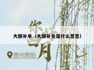 大额补单（大额补充是什么意思）