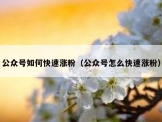 公众号如何快速涨粉（公众号怎么快速涨粉）