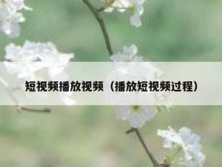 短视频播放视频（播放短视频过程）