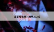 潦草短视频（潦草2020）