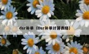 dsr补单（Dsr补单计算表格）