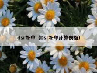 dsr补单（Dsr补单计算表格）