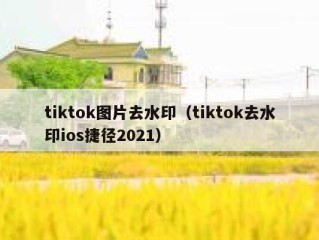 tiktok图片去水印（tiktok去水印ios捷径2021）