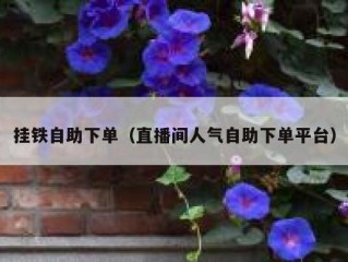 挂铁自助下单（直播间人气自助下单平台）