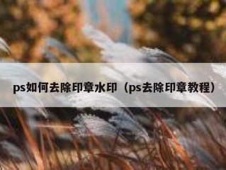 ps如何去除印章水印（ps去除印章教程）