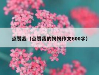 点赞我（点赞我的妈妈作文600字）