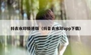 抖去水印极速版（抖音去水印app下载）