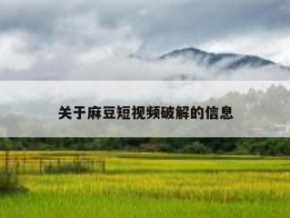 关于麻豆短视频破解的信息