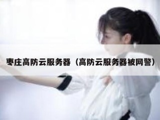 枣庄高防云服务器（高防云服务器被网警）