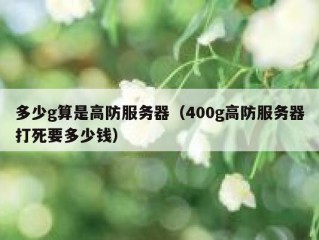 多少g算是高防服务器（400g高防服务器打死要多少钱）