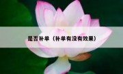 是否补单（补单有没有效果）