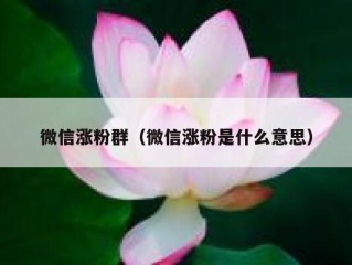 微信涨粉群（微信涨粉是什么意思）