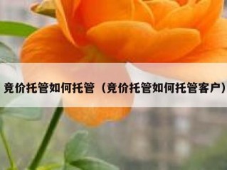 竞价托管如何托管（竞价托管如何托管客户）