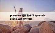 premiere视频去水印（premiere怎么去除视频水印）