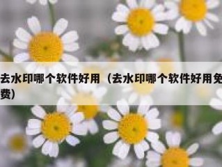 去水印哪个软件好用（去水印哪个软件好用免费）