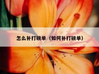 怎么补打磅单（如何补打磅单）