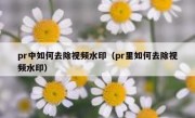 pr中如何去除视频水印（pr里如何去除视频水印）