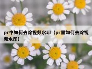 pr中如何去除视频水印（pr里如何去除视频水印）