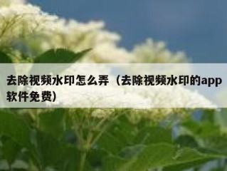 去除视频水印怎么弄（去除视频水印的app软件免费）