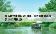 怎么能快速涨粉到1000（怎么能快速涨粉到1000万粉丝）